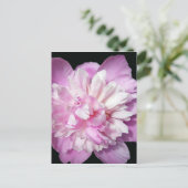 Pink Peony Postkarte (Stehend Vorderseite)