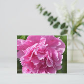 Pink Peony Postkarte (Stehend Vorderseite)
