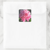 Pink Peony Quadratischer Aufkleber (Tasche)