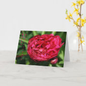 Pink Peony Rose Anniversary Card Karte (Gelbe Blume)