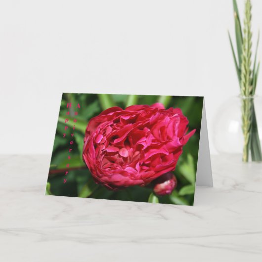 Pink Peony Rose Anniversary Card Karte (Vorderseite)