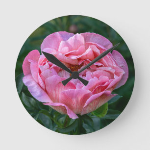 Pink Peony Runde Wanduhr