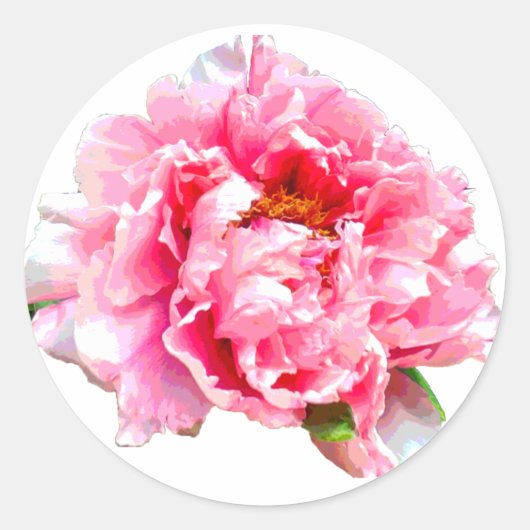 PINK PEONY RUNDER AUFKLEBER (Vorderseite)