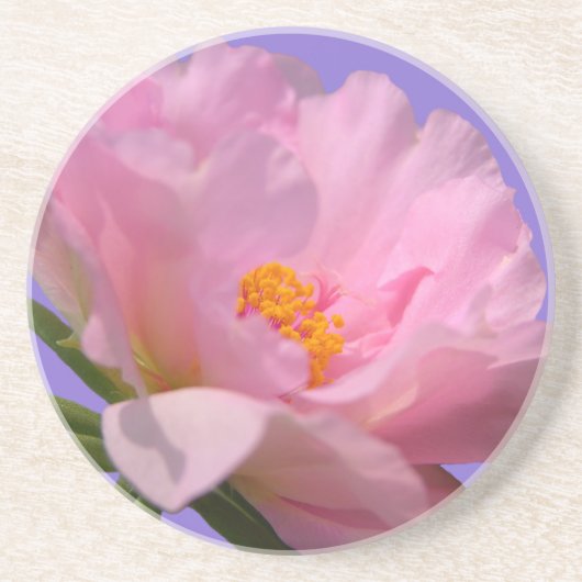 Pink Peony Sandstone Untersetzer (Vorne)