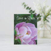 Pink Peony Save the Date Postcard Ankündigungspostkarte (Stehend Vorderseite)