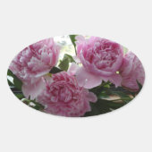 Pink Peony Stickers (Vorderseite)