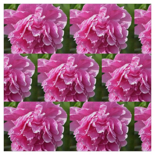 Pink Peony Stoff (Muster)