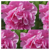 Pink Peony Stoff (Nahaufnahme)