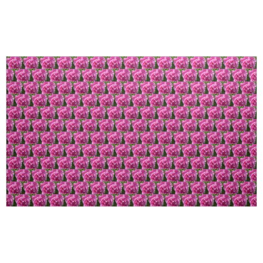 Pink Peony Stoff (Yard (91,4 cm))