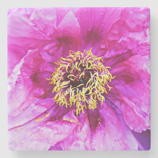 Pink Peony Stone Untersetzer (Vorderseite)