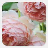 Pink Peony Umschlag Aufkleber Stickers (Vorderseite)