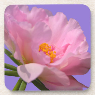 Pink Peony Untersetzer
