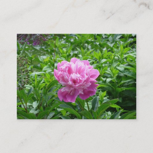 Pink Peony Visitenkarte (Vorderseite)