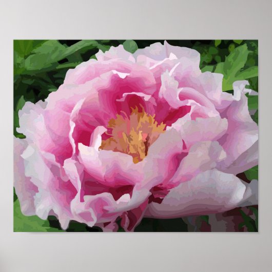 Pink Peony Watercolor Feine Blumen Poster (Vorne)