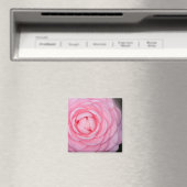 Pink Perfection Camellia Magnet (In Situ (Geschirrspüler))