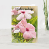 Pink Periwinkle Blume Gartengarten Karte (Vorderseite)