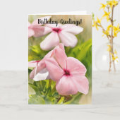 Pink Periwinkle Blume Gartengarten Karte (Gelbe Blume)