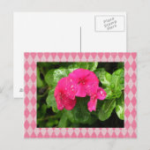 Pink Periwinkle Raute Postkarte (Vorne/Hinten)