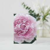 Pink Perky Peony Foto Postkarte (Stehend Vorderseite)