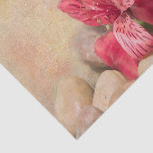 Pink Peruanische Lilien mit Steinen Seidenpapier (Ausschnitt)