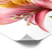 Pink Peruvian Lilies Blume Art Print Poster (Ecke)