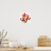 Pink Peruvian Lilies Blume Art Print Poster (Küche)
