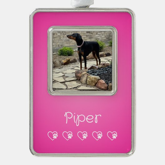 Pink Pet Photo Ornament Framed, Dog Lovers Rahmen-Ornament Silber (Vorderseite)