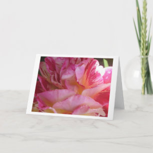 Pink Petal Flutter Rose Gruß oder Mitteilungskarte