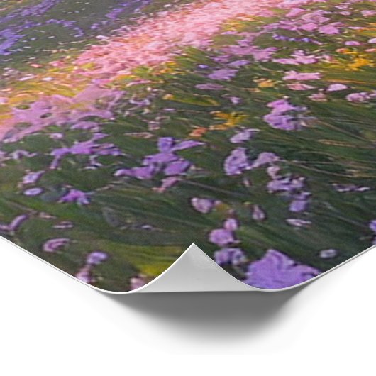 Pink Petal Paradise Poster (Ecke)