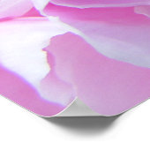 Pink Petals Peonie Poster (Ecke)