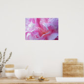 Pink Petals Peonie Poster (Küche)