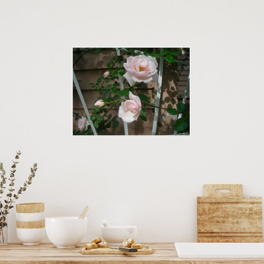 Pink Petals Poster (Küche)