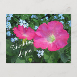 Pink Petunia Blume Foto Denken Sie an Sie Postkarte