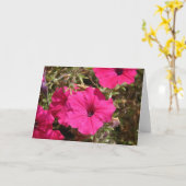 Pink-Petunia-Blume Karte (Gelbe Blume)