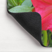 Pink-Petunia-Blume Mousepad (Ecke)