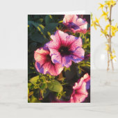 Pink Petunia Blumengarten Karte (Gelbe Blume)
