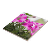 Pink Petunia Passion Fliese (Seite)