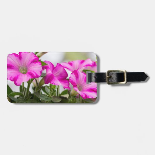 Pink Petunia Passion Gepäckanhänger (Vorderseite horizontal)