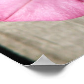 Pink Petunia Poster (Ecke)