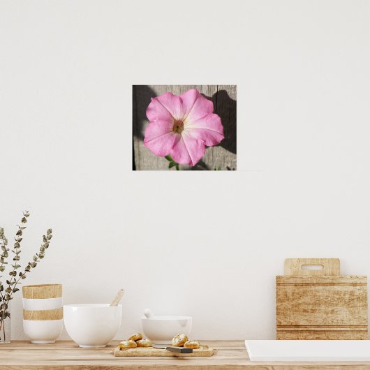 Pink Petunia Poster (Küche)