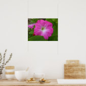 Pink Petunia Print Poster (Küche)