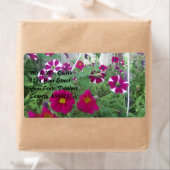 Pink Petunias (Insitu)