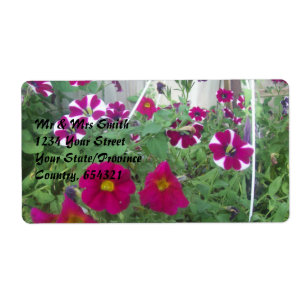 Pink Petunias
