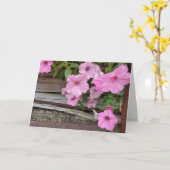 Pink Petunias auf rustikalem Holz Karte (Gelbe Blume)