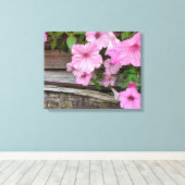 Pink Petunias auf Stallholz Leinwanddruck (Insitu (Holzboden))