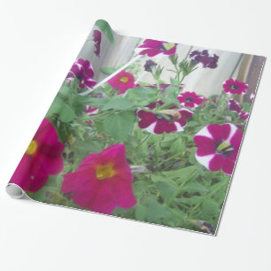 Pink Petunias Geschenkpapier