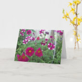 Pink Petunias Karte (Gelbe Blume)