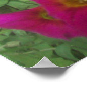 Pink Petunias Poster (Ecke)