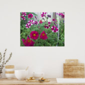 Pink Petunias Poster (Küche)