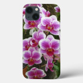 Pink Phalaenopsis iPhone 13 Fall Case-Mate iPhone Hülle (Rückseite)